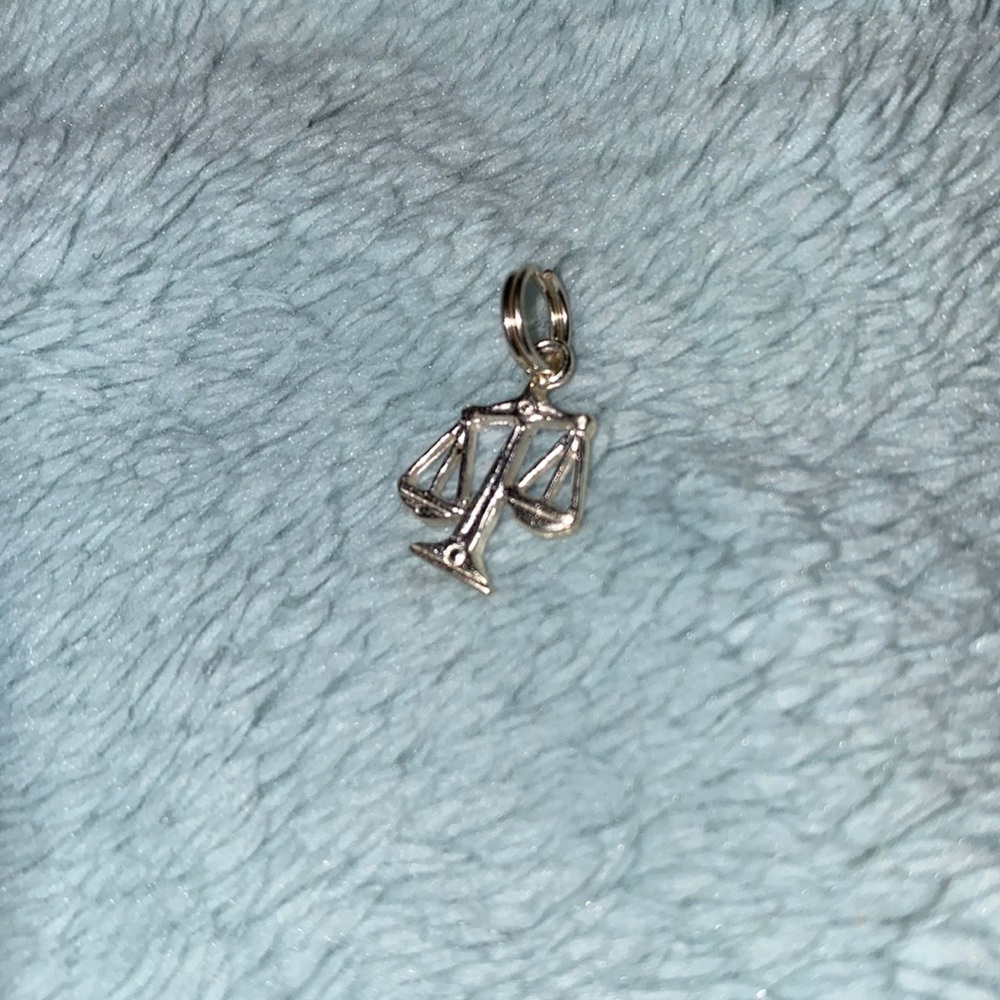 Scale charm